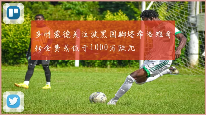 多特蒙德关注波黑国脚塔希洛维奇转会费或低于1000万欧元