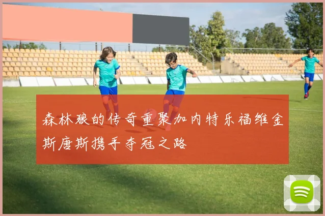 森林狼的传奇重聚加内特乐福维金斯唐斯携手夺冠之路